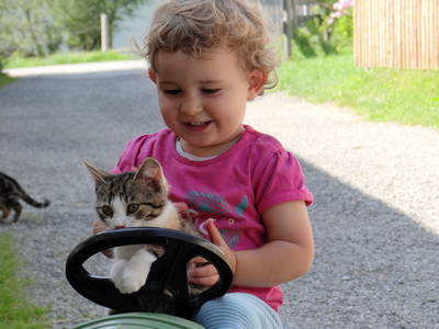 Bild 22 aus  Ferienhof Herz im Oberallgäu