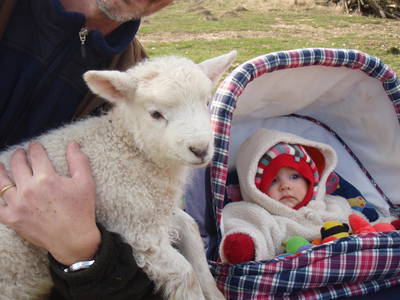 Bild 23 aus  Springbakgaard