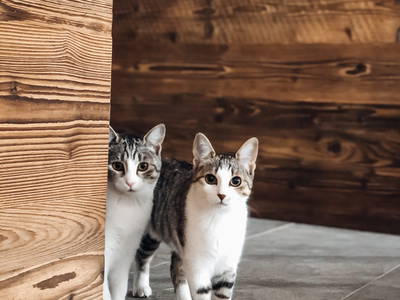 Bild 16 aus  Uetzenhof