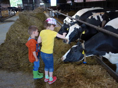 Bild 10 aus  Ferienhof Wiesengrund