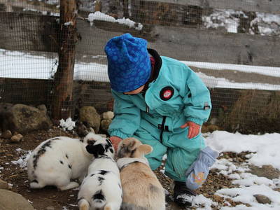 Bild 17 aus  Risthof am Großen Alpsee