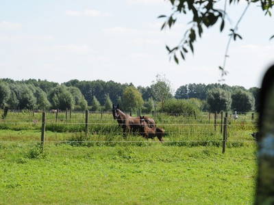 Bild 23 aus  Luisenhof Paretz