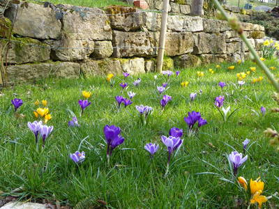 Bild 12 aus  Hellbachhof