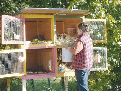 Bild 8 aus  Ferienhof Schaffer