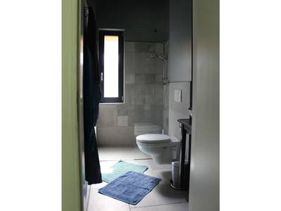 Bild 10 aus  Annas Haus am waldreichen Stadtrand Berlins