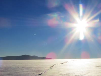 Spuren im Schnee