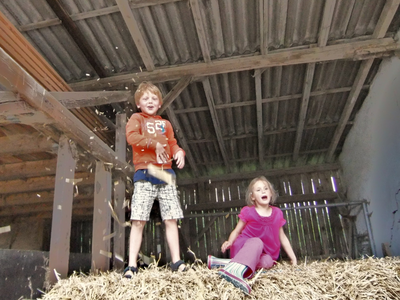 Bild 8 aus  Ferienhof Käsrah