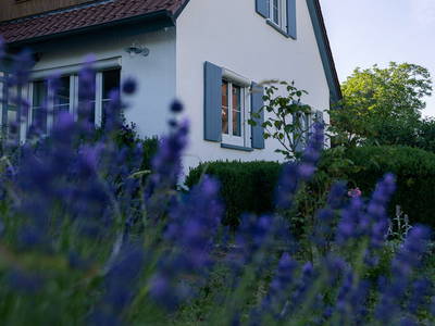 Bild 2 aus  Landhaus Paco