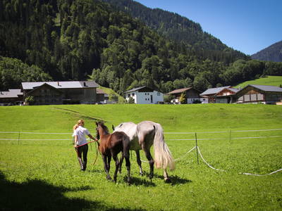 Bild 48 aus  Haus Bergquell mit Pferdestall