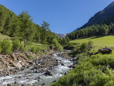 Bild 45 aus  BIO Bergbauernhof Inner-Glieshof