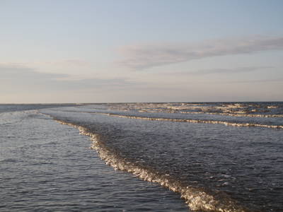 Bild 7 aus  Ferienhof Hobbie