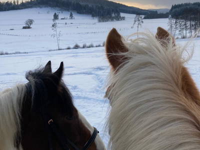 Bild 48 aus  LandSelection Ferienhof Zur Hasenkammer