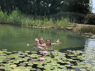 Bild 5 aus  Rifugio Seremus