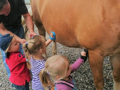 Bild 17 aus  Ostseeferienhof  Stoldt
