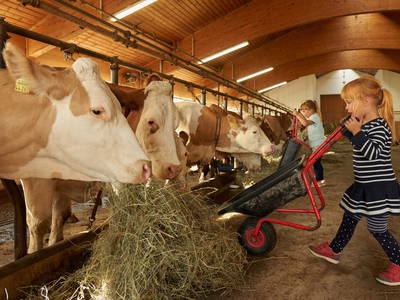 Bild 27 aus  Wenighof