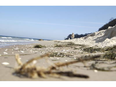 Bild 14 aus  Vju Hotel Rügen