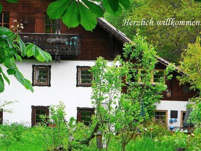 Bild 3 aus  Grashöfle