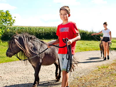 Bild 12 aus  Sonis kleine Farm Grömitz