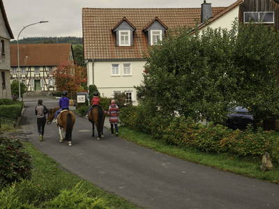 Bild 5 aus  Ferienhof Zinn