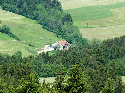 Bild 34 aus  Ferienhof Rasch