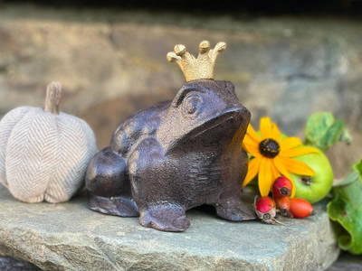 Bild 14 aus  Ferienhaus FROSCHKÖNIG