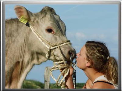 Bild 12 aus  Hof Petersen