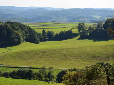 Bild 15 aus  Landurlaub im Sauerland auf dem Ferienhof Verse