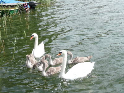 Bild 18 aus  Elsenhöhe