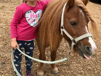 Bild 7 aus  Görgenhof - Gnadenhof für Bauernhoftiere