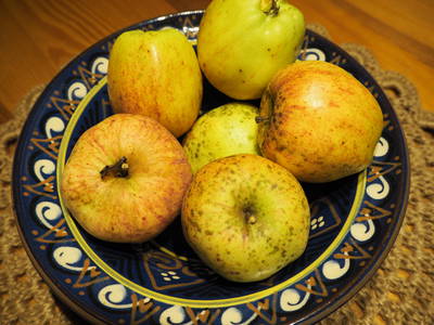 Bild 23 aus  West Masuren: Ferienhaus direkt am See mit Steg, Boot, Sauna & Kamin