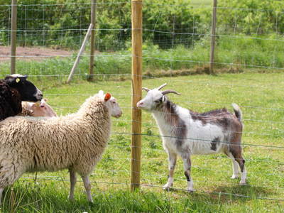 Bild 14 aus  Sonnenlandhof