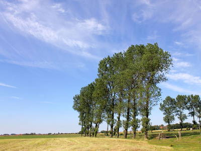 Bild 32 aus  Ommen Ferienhof