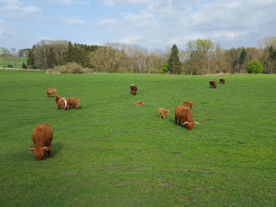 Bild 10 aus  Ferienwohnungen Strobel Eichstegen