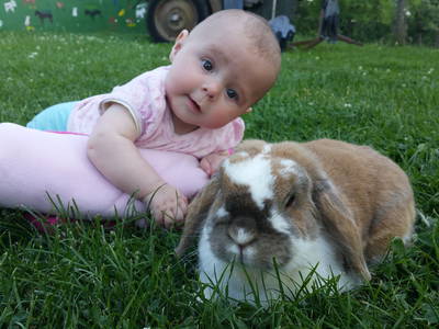 Bild 4 aus  Ferienhof Neudeck