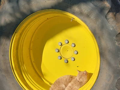 Bild 16 aus  Ferienhof Hafflandsichten auf Usedom