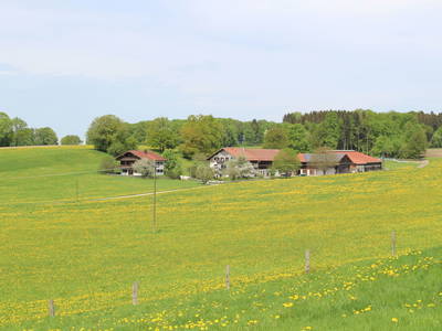 Bild 4 aus  Doasahof