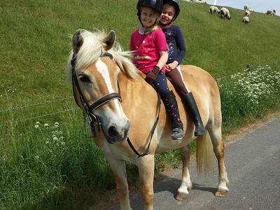 Bild 20 aus  Ferienhof Claußen