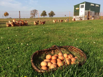 Bild 17 aus  Müritz-Hof Knust