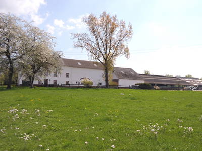 Bild 2 aus  Bernis Ferienhaus