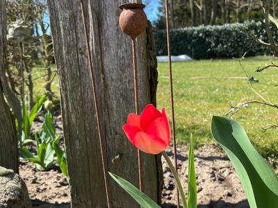 Bild 33 aus  Ferienhof Westermann