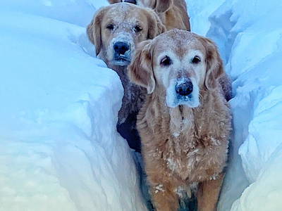 Bild 11 aus  Ferien-Landhaus-Isolde