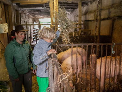 Tierfütterung Hilserhof