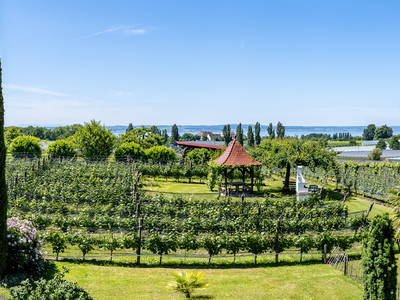 Bild 9 aus  Obst- und Ferienhof Gomeringer