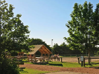 Bild 40 aus  Bernsteinreiter Hirschburg