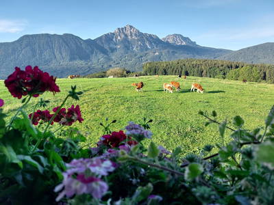 Bild 5 aus  Fuchsbauernhof