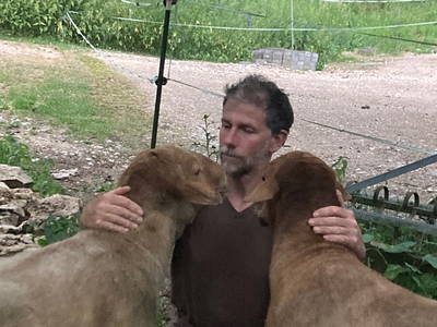 Bild 29 aus  Ferienwohnung Dachsmühle: Natur und Tiere