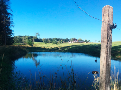 Bild 16 aus  Gschwinghof