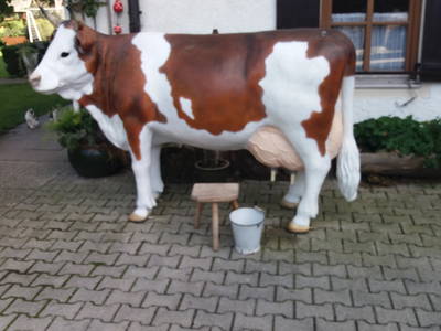 Bild 64 aus  Winklerhof-Kinderlandbauernhof, Familie Esterer