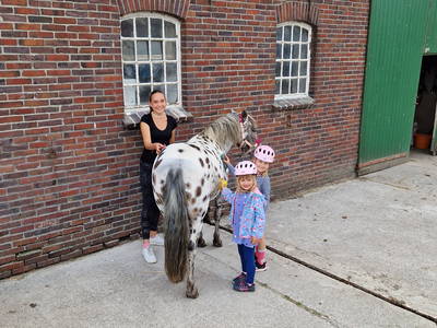 Bild 48 aus  Küstenhof Oldewurtel