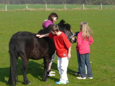 Bild 30 aus  Ahoi Ostsee:  Bauernhof und OstseeUrlaub - Ferienhof Becker in Dahme